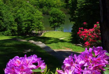 Tennessee Senior State and Women’s Opens renew partnership with Fairfield Glade for a third year 1